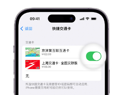 洛浦apple维修点分享iPhone上更换Apple Pay快捷交通卡手绘卡面 