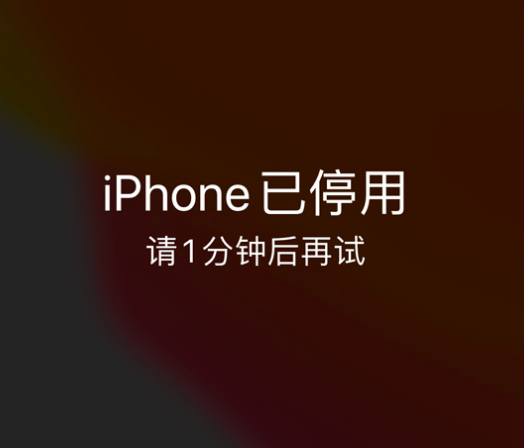 洛浦苹果手机维修分享:iPhone 显示“不可用”或“已停用”怎么办？还能保留数据吗？ 