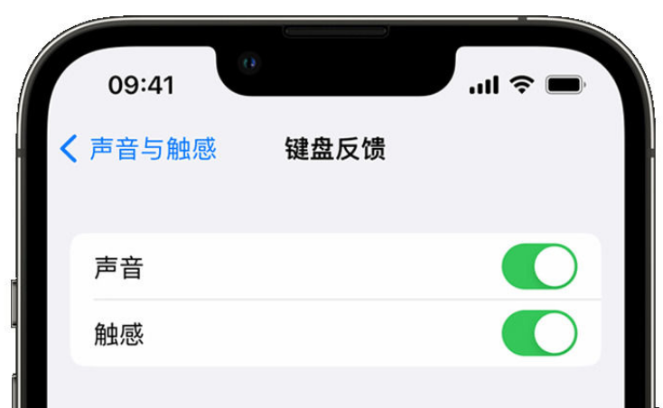 洛浦苹果手机维修分享iPhone 14触感键盘使用方法 