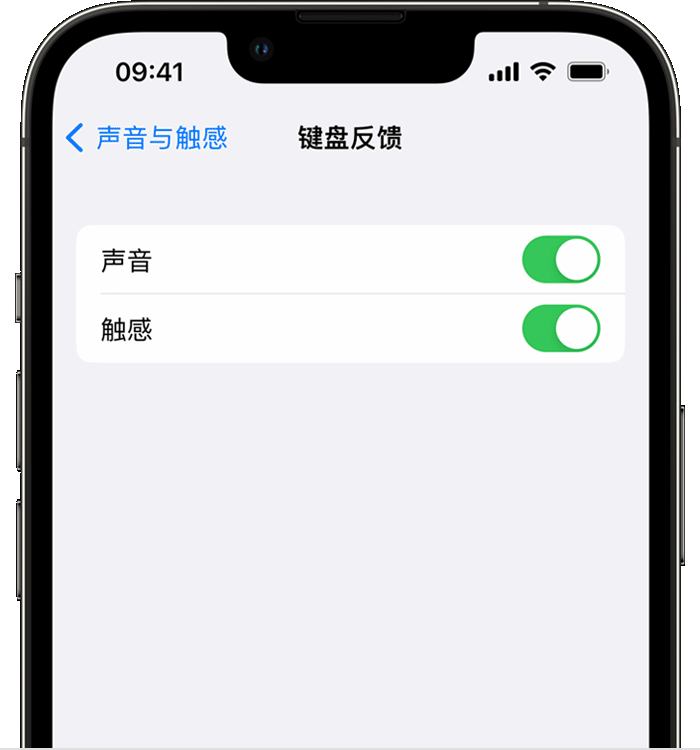 洛浦苹果14维修店分享如何在 iPhone 14 机型中使用触感键盘 