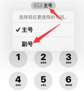 洛浦苹果14维修店分享iPhone 14 Pro Max使用副卡打电话的方法 