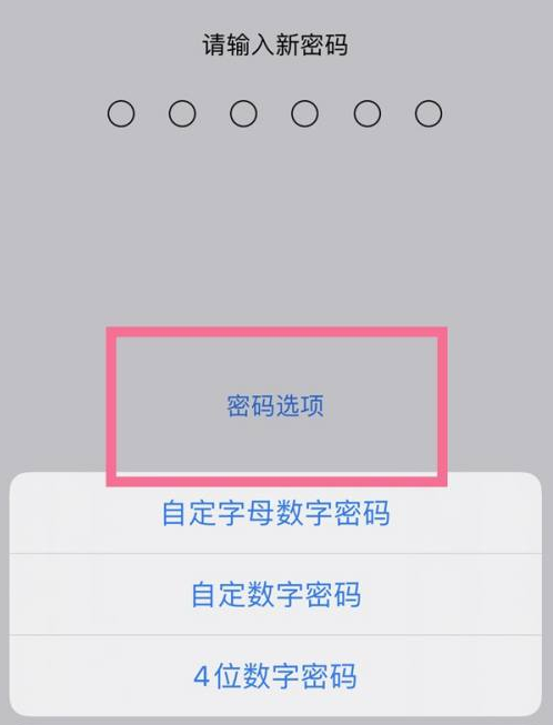 洛浦苹果14维修分享iPhone 14plus设置密码的方法 