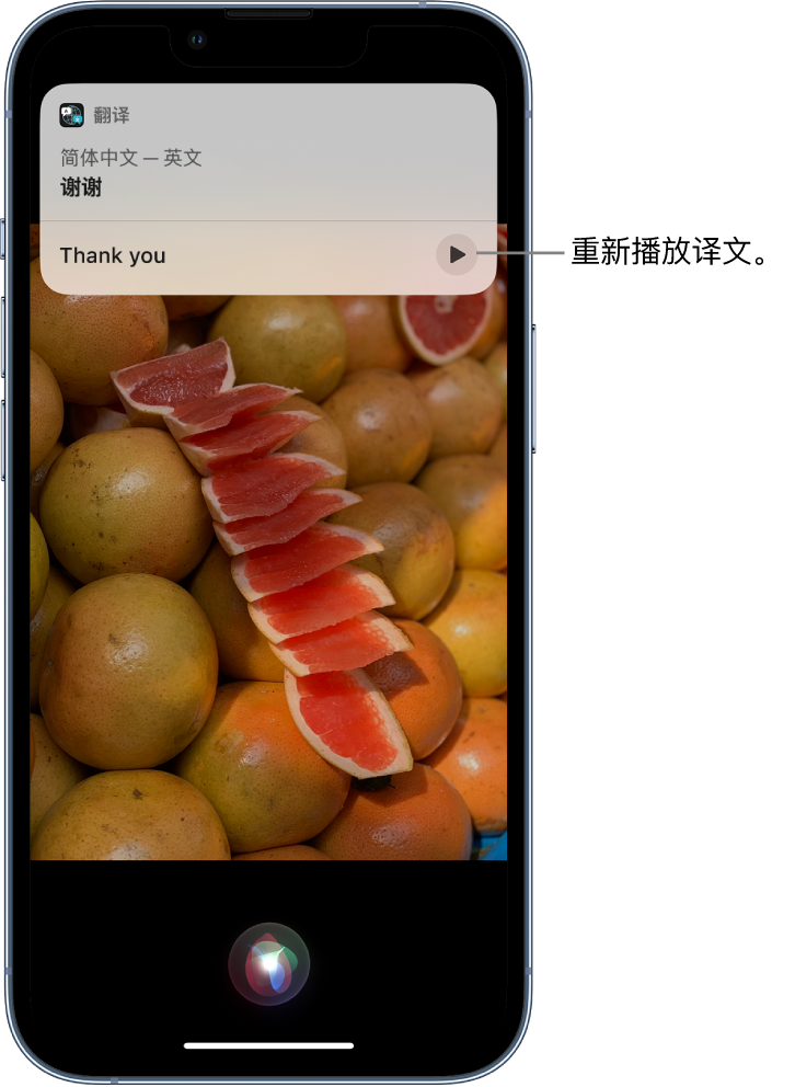 洛浦苹果14维修分享 iPhone 14 机型中使用 Siri：了解 Siri 能帮你做什么 