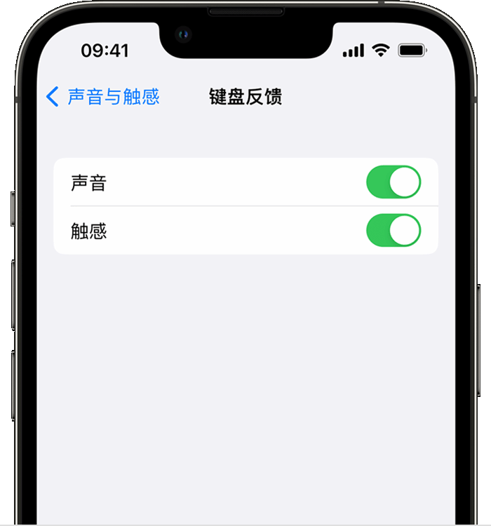 洛浦苹果14维修分享iPhone 14 系列机型如何开启键盘声音或触感反馈 