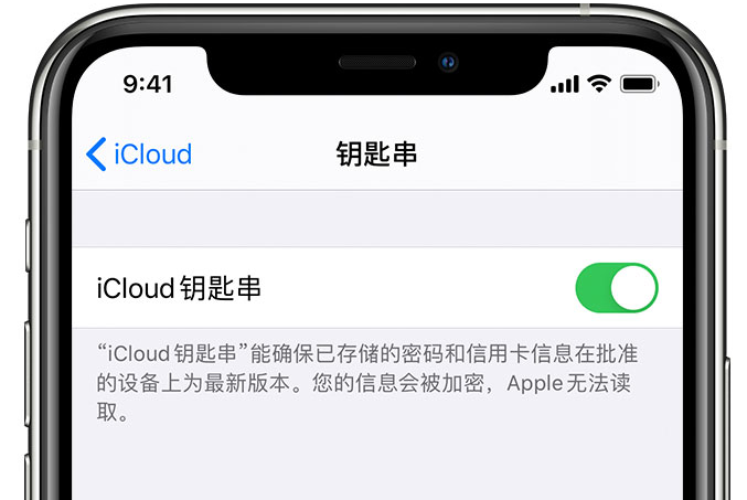 洛浦苹果手机维修分享在 iPhone 上开启 iCloud 钥匙串之后会储存哪些信息 