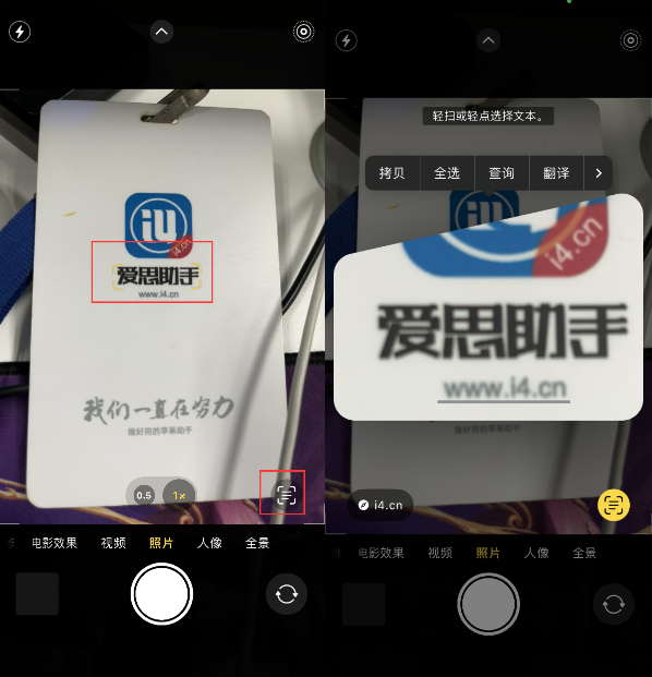 洛浦苹果手机维修分享升级iOS 16后如何通过相机翻译文本 