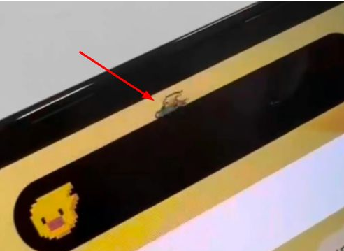 洛浦苹果14维修分享iPhone 14 Pro Max灵动岛怎么养宠物 