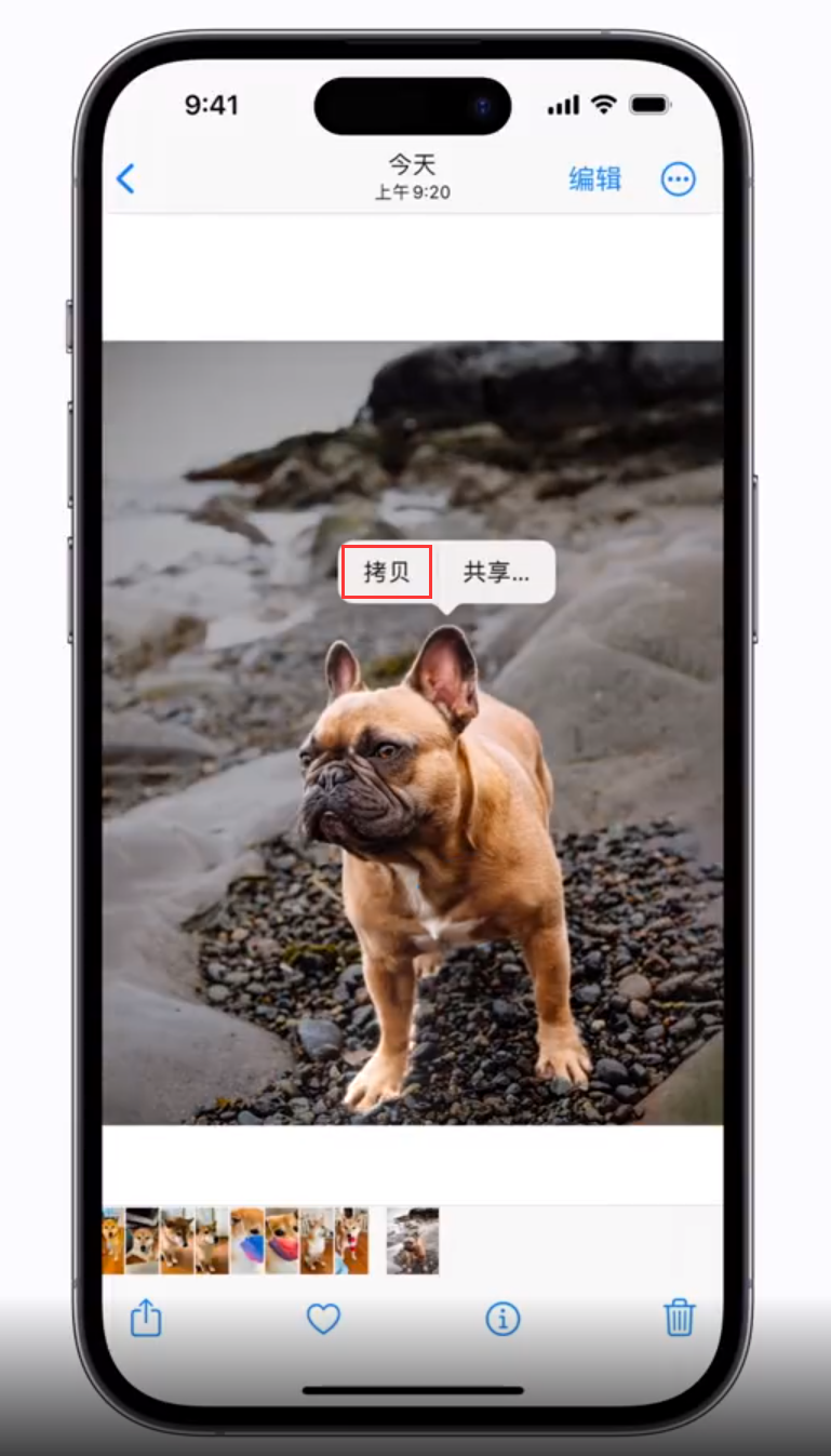 洛浦苹果手机维修分享 iOS 16 自带一键抠图功能 