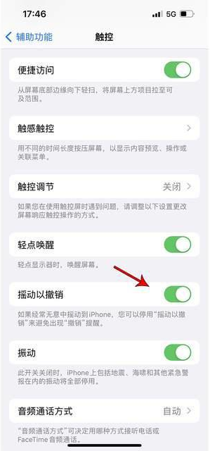 洛浦苹果手机维修分享iPhone手机如何设置摇一摇删除文字 