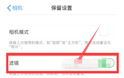 洛浦苹果13维修分享iPhone13拍照有绿点是怎么回事 