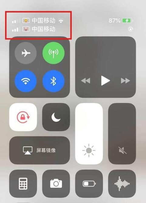 洛浦苹果手机维修分享为 iPhone 12 双卡设置标签 