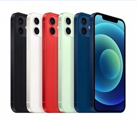洛浦苹果维修点分享iPhone 12 Pro Max黑屏冷门故障解读 